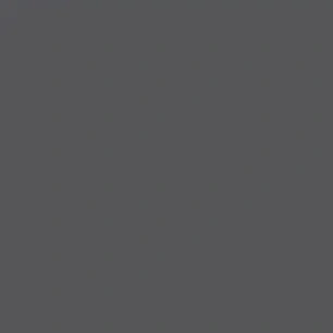10592 Charcoal